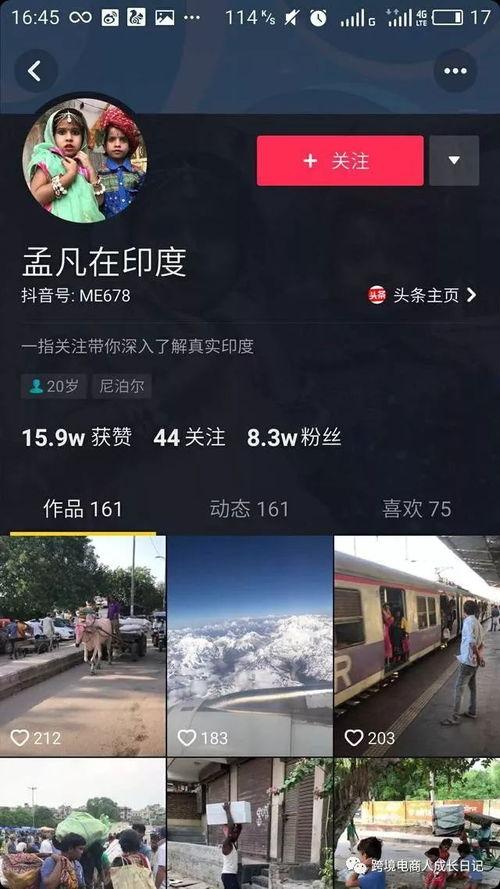 香河独家爆料案件最新,案件最新进展揭秘